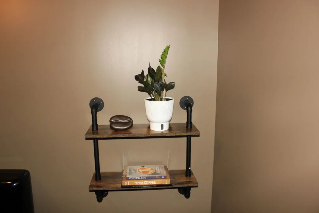 A shelf displaying a green plant alongside a closed book