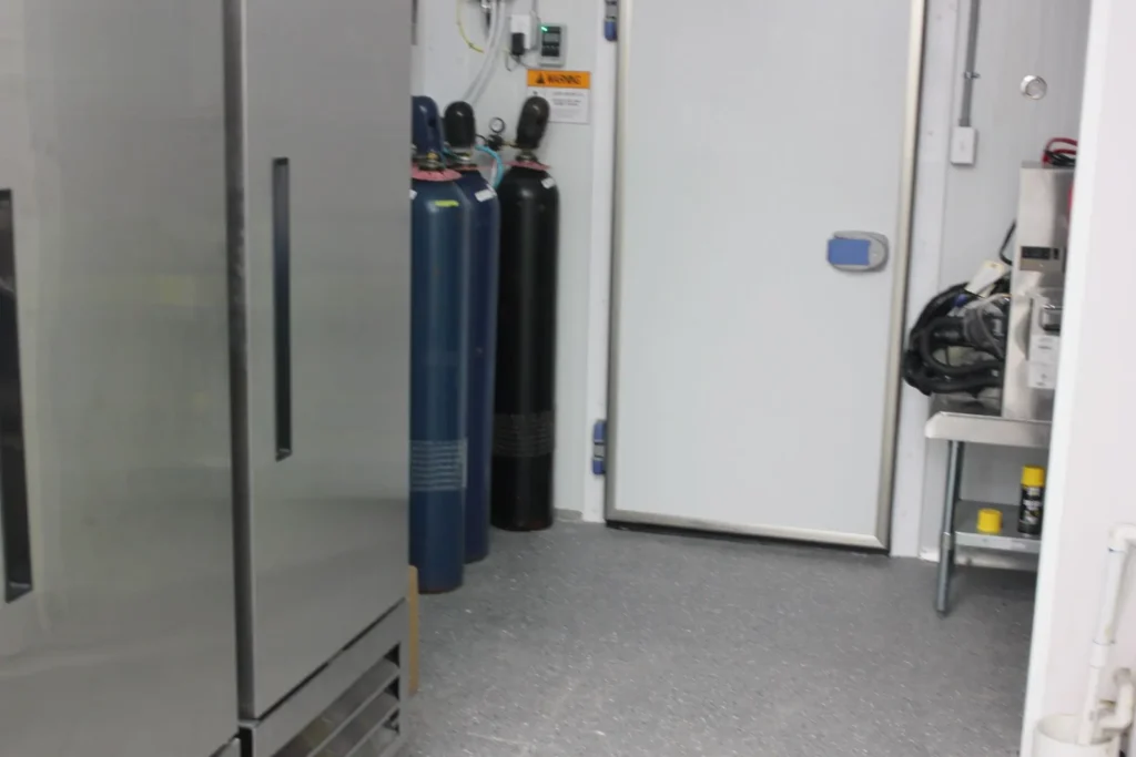 A refrigerator stands in a small room beside a door