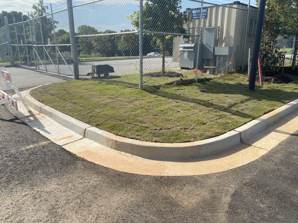 Completed landscape island with newly installed sod and site landscaping in commercial parking lot