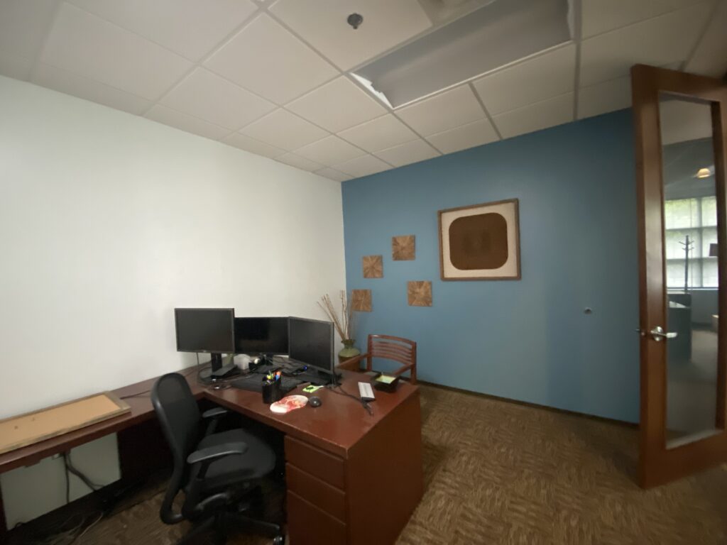 Completed executive office in Decatur GA with blue accent wall, L-shaped desk, and carpet flooring